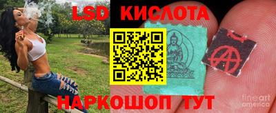 сатива Абинск