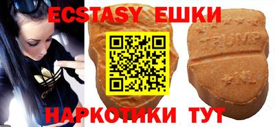 стаф Гатчина