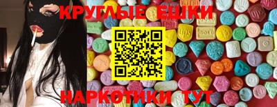 стаф Гатчина