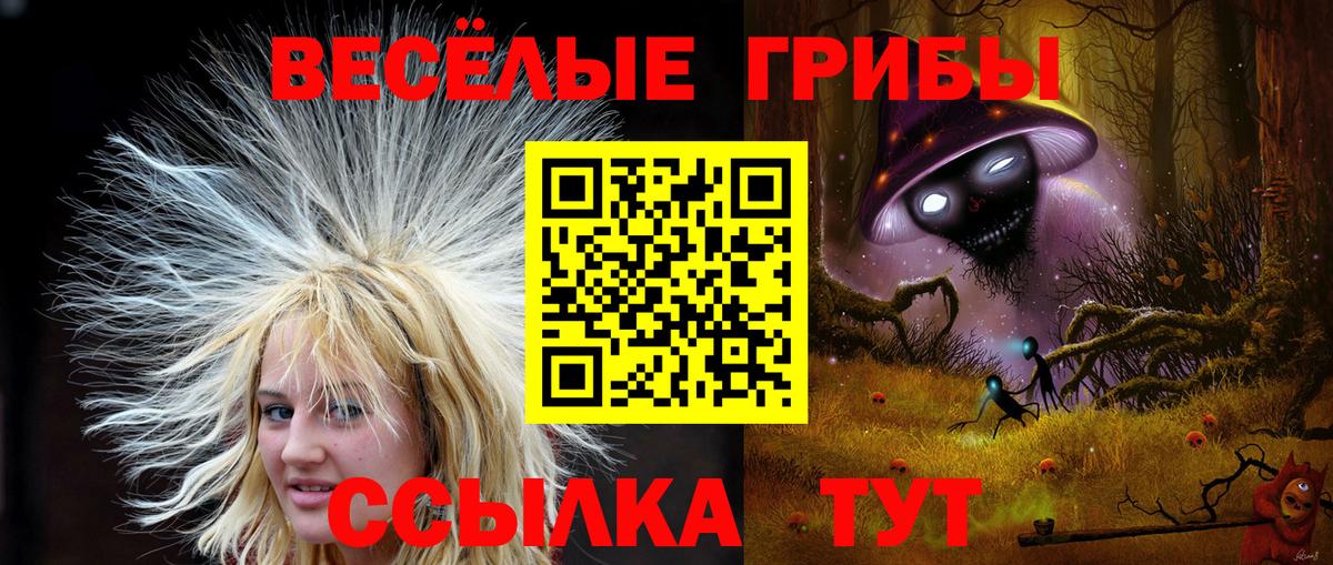 Анжеро-Судженск  Псилоцибиновые грибы мухоморы  Вход с VPN 