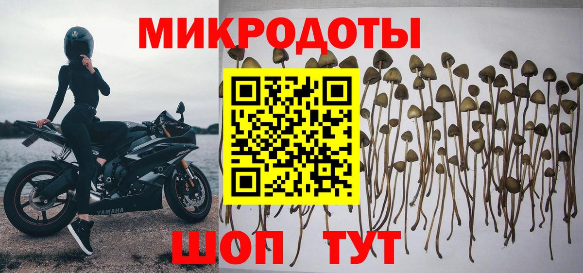 Анжеро-Судженск  Псилоцибиновые грибы прущие грибы  закладка  Вход с VPN 