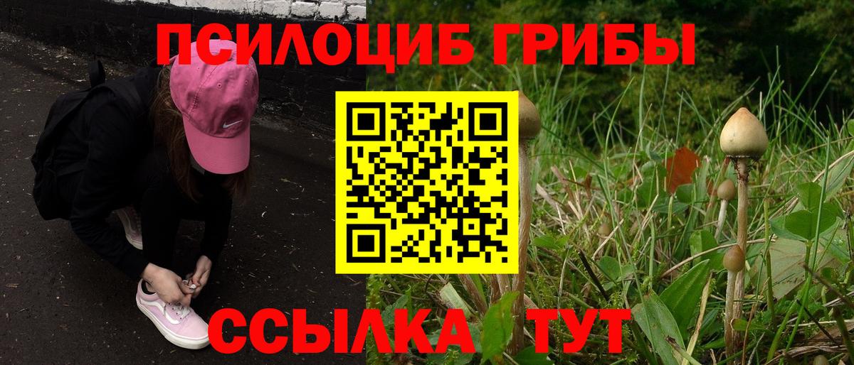 Псилоцибиновые грибы мухоморы Анжеро-Судженск