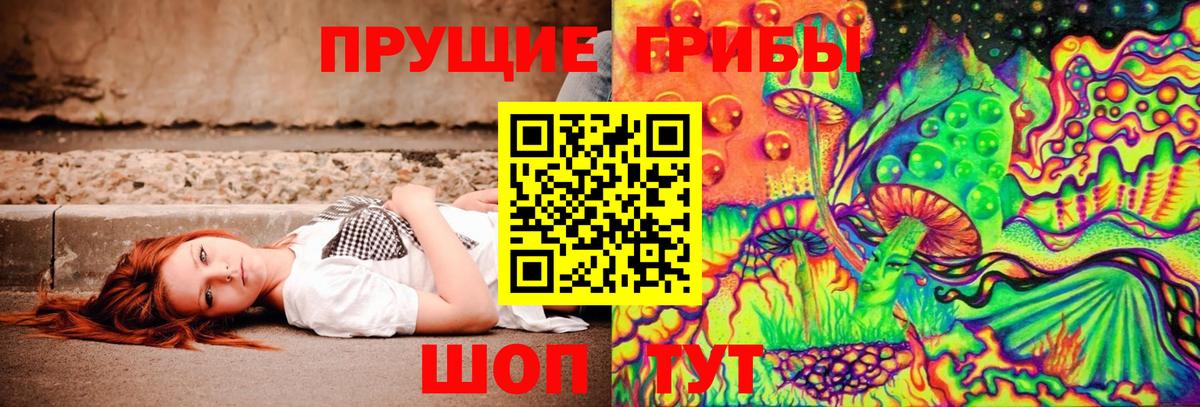 Галлюциногенные грибы прущие грибы Анжеро-Судженск