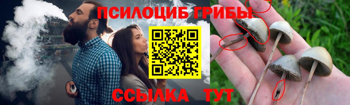 Галлюциногенные грибы GOLDEN TEACHER  Псилоцибиновые грибы GOLDEN TEACHER  наркота  Анжеро-Судженск 