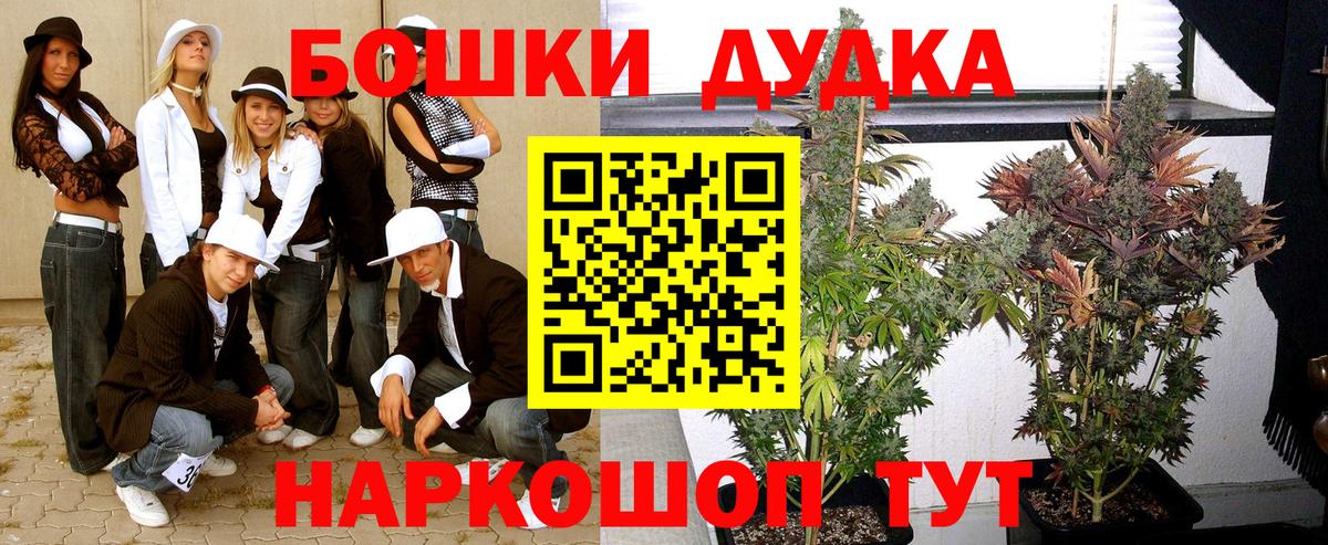 Бошки Шишки Bruce Banner  Бошки марихуана LSD WEED  Анжеро-Судженск  Конопля конопля  Марихуана сатива 